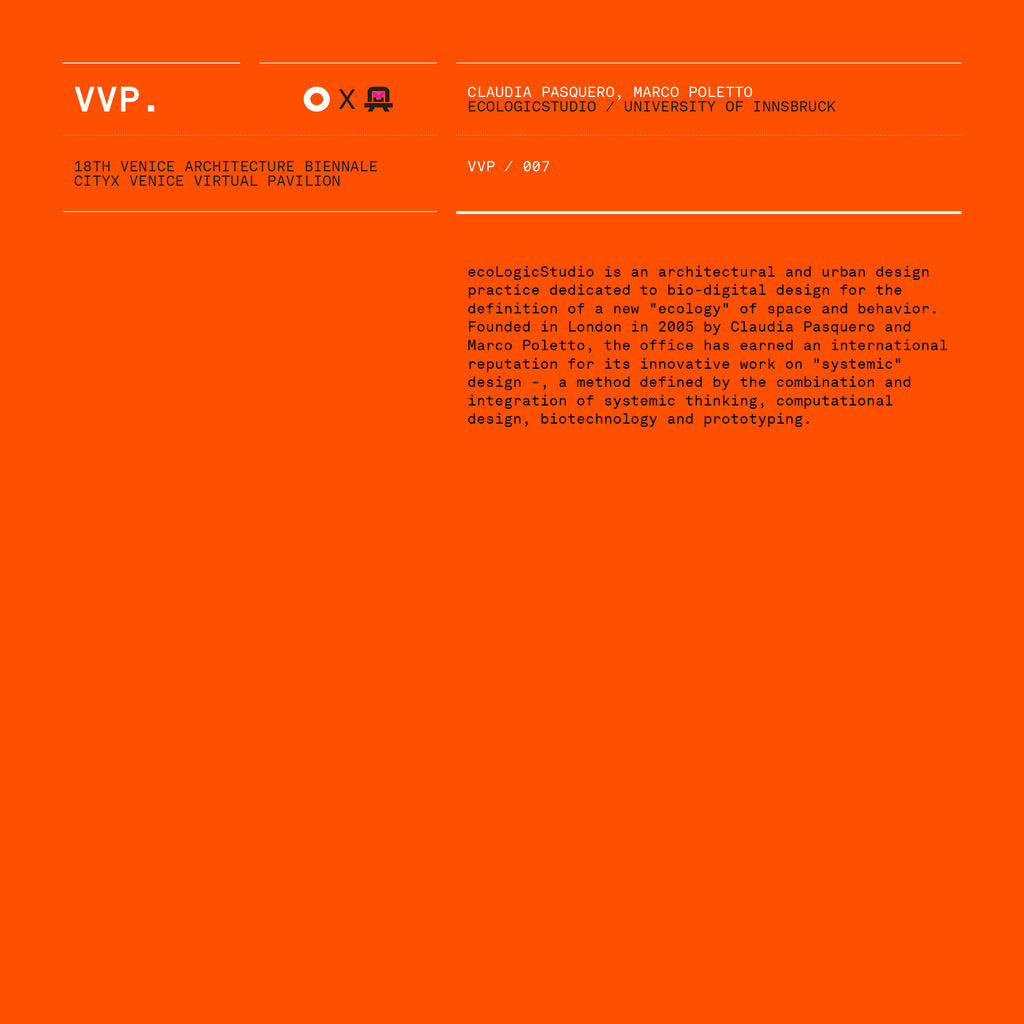 VVP007 // Digital Orange