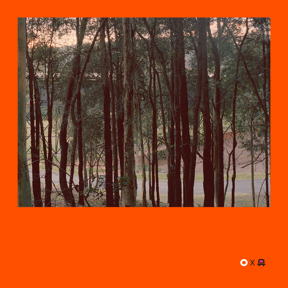 VVP009 // Digital Orange