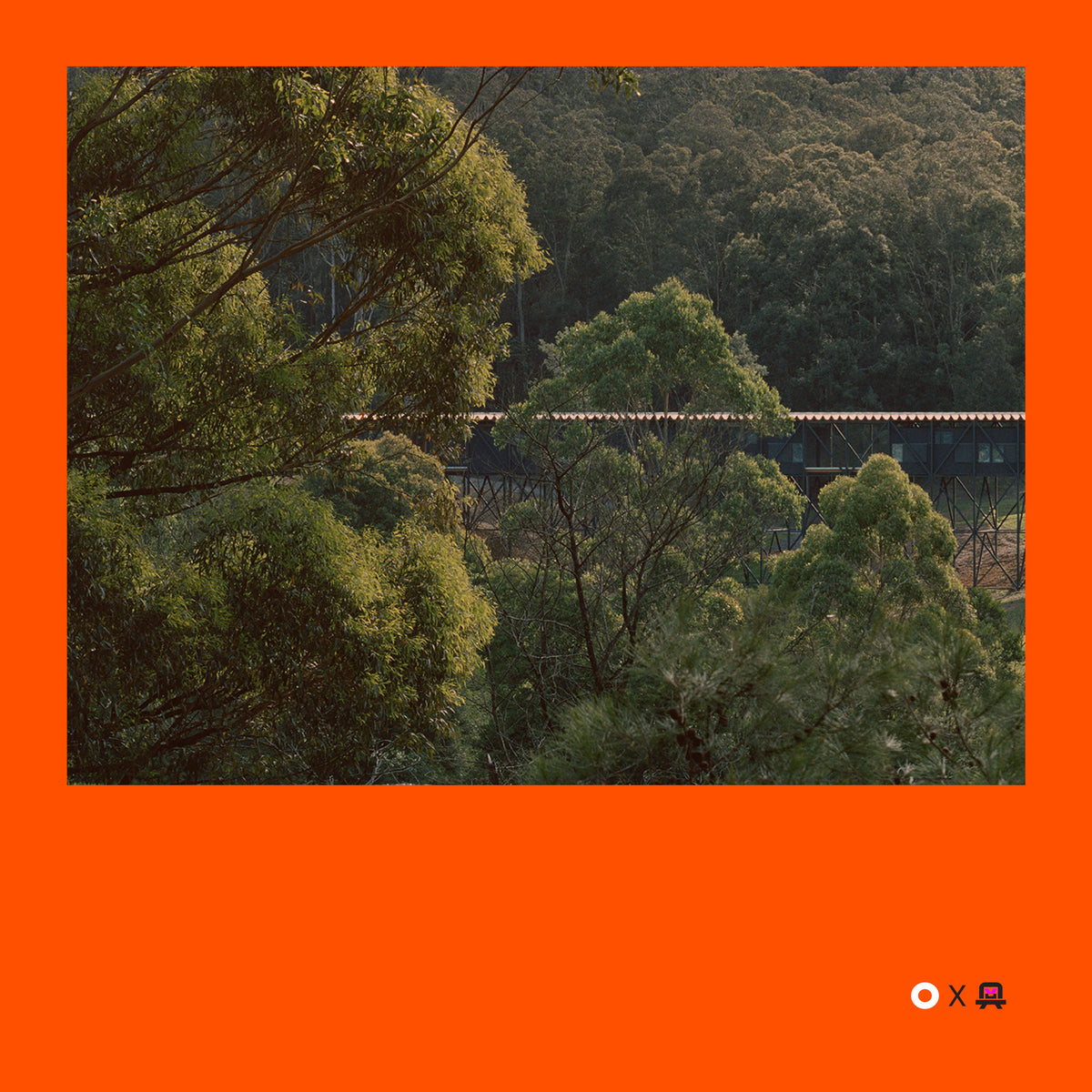 VVP009 // Digital Orange