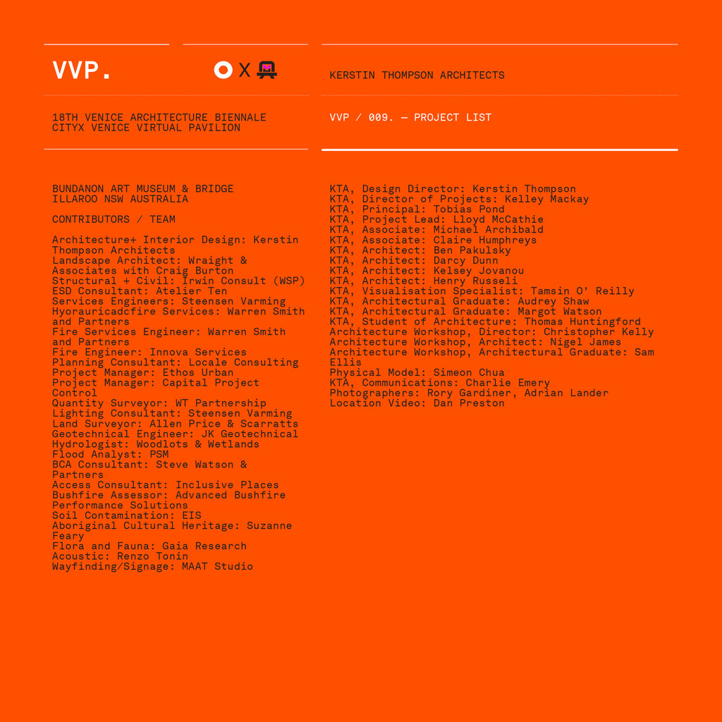 VVP009 // Digital Orange