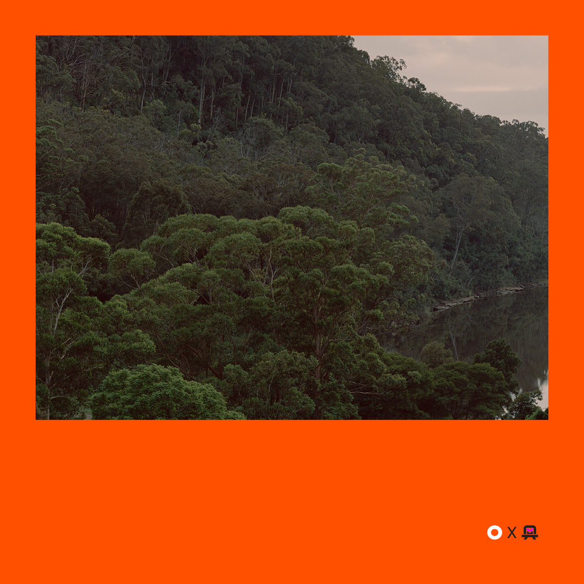 VVP009 // Digital Orange