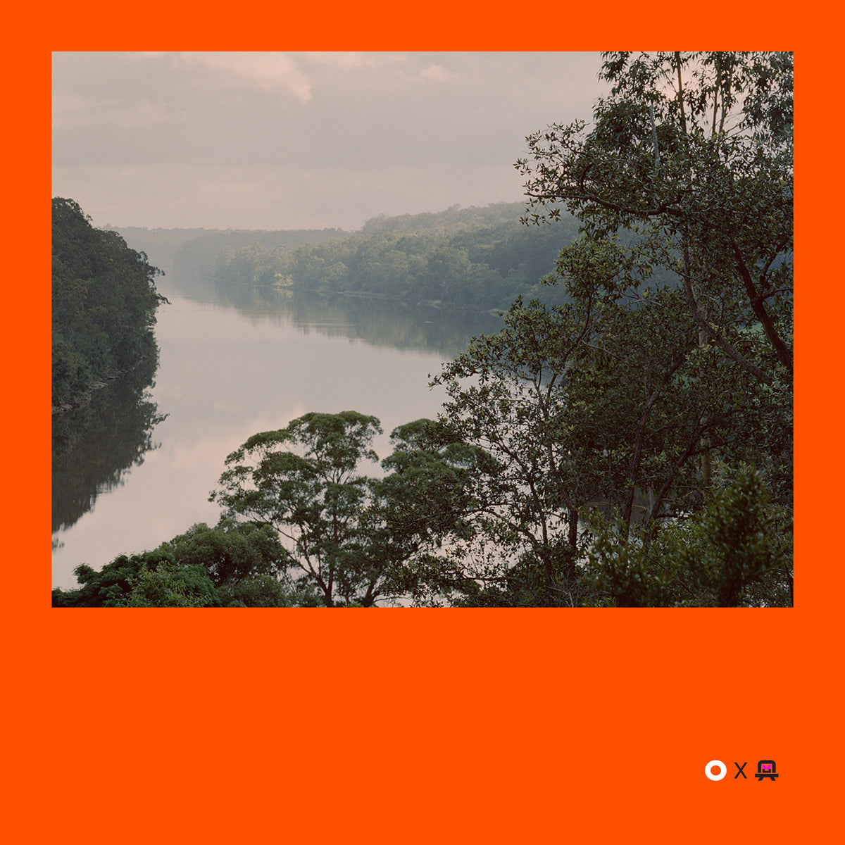 VVP009 // Digital Orange