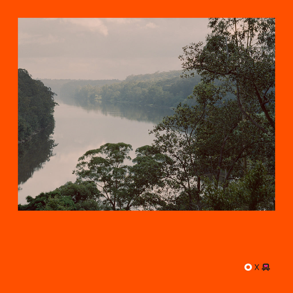 VVP009 // Digital Orange