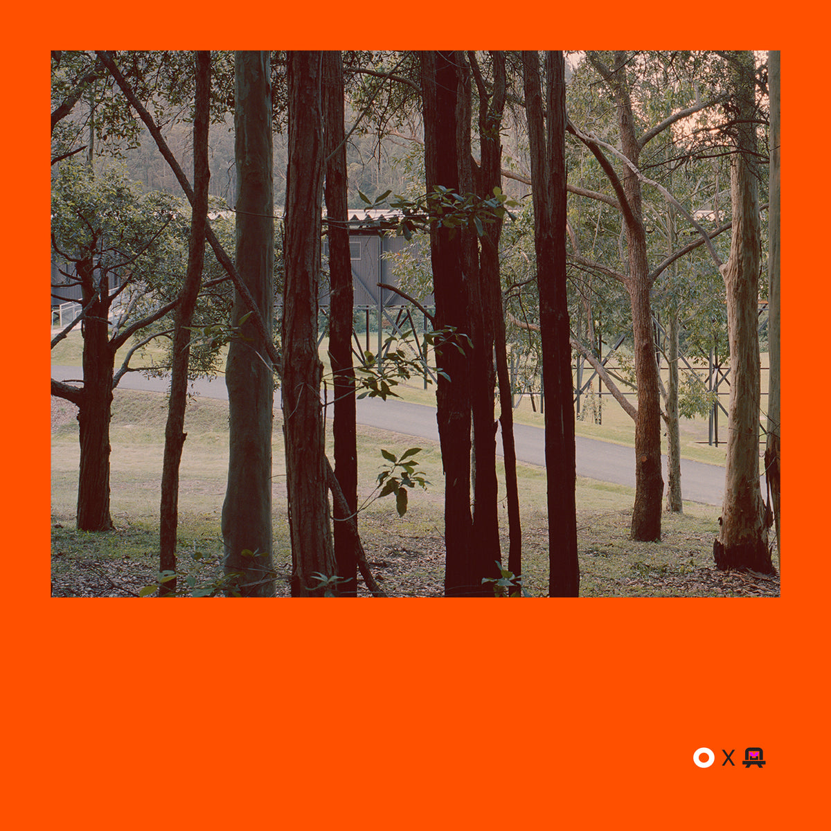 VVP009 // Digital Orange