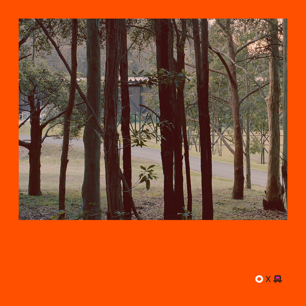 VVP009 // Digital Orange
