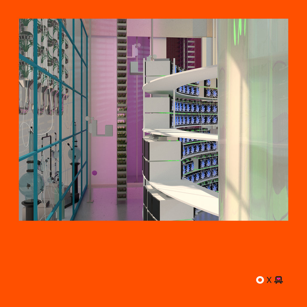 VVP018 // Digital Orange