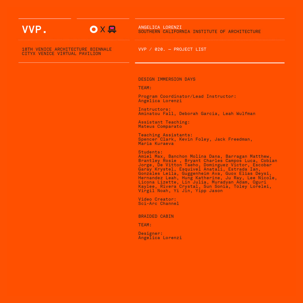 VVP020 // Digital Orange