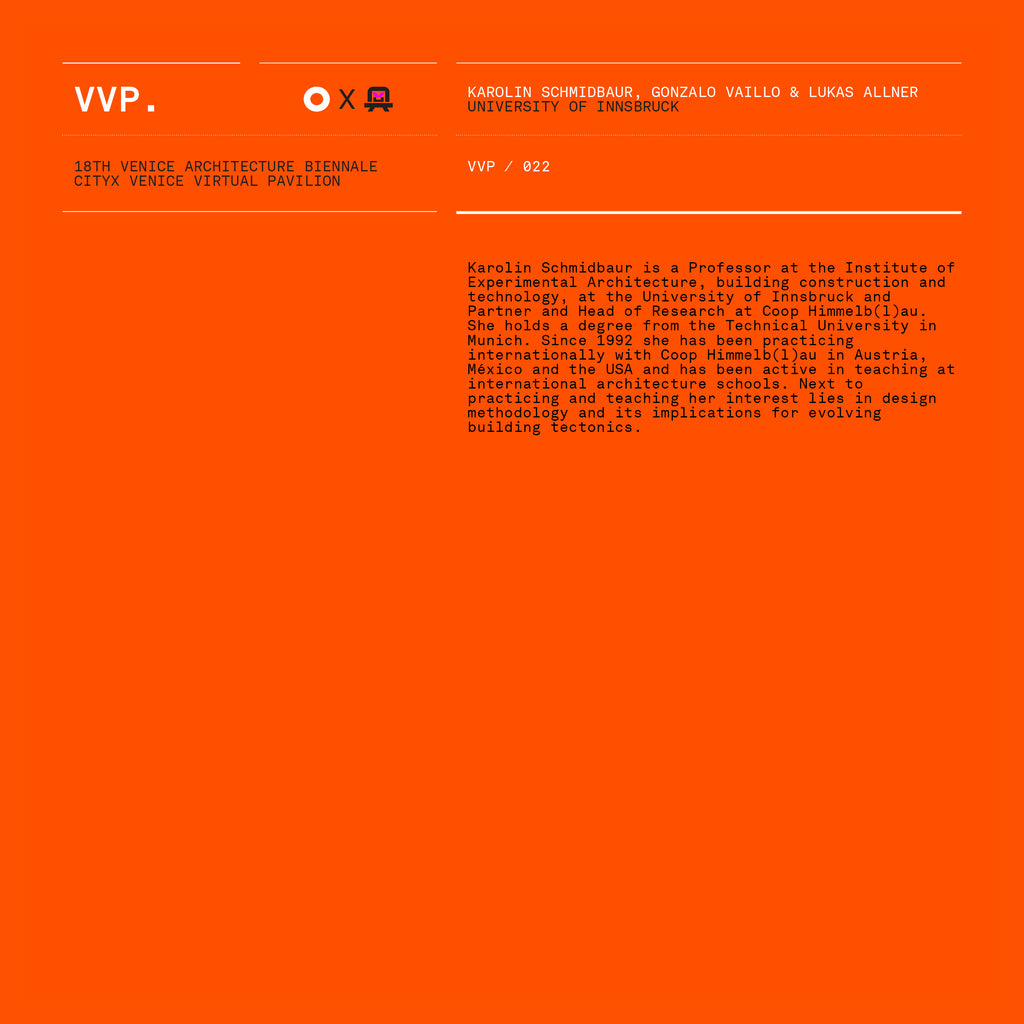 VVP022 // Digital Orange