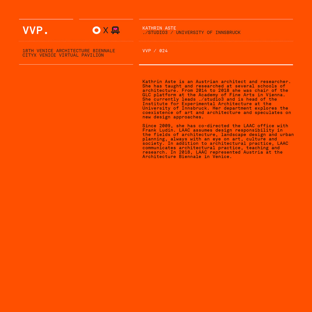 VVP024 // Digital Orange