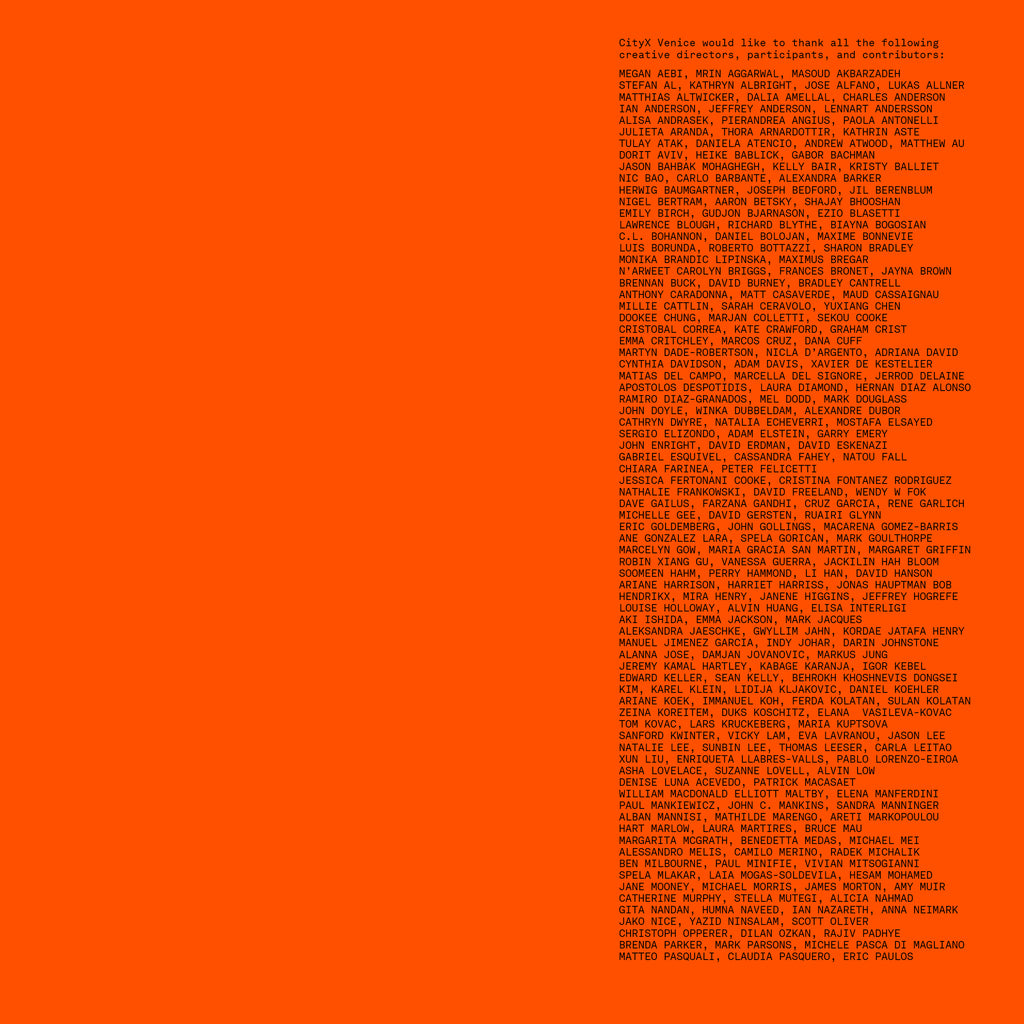 #IVP12 // Digital Orange