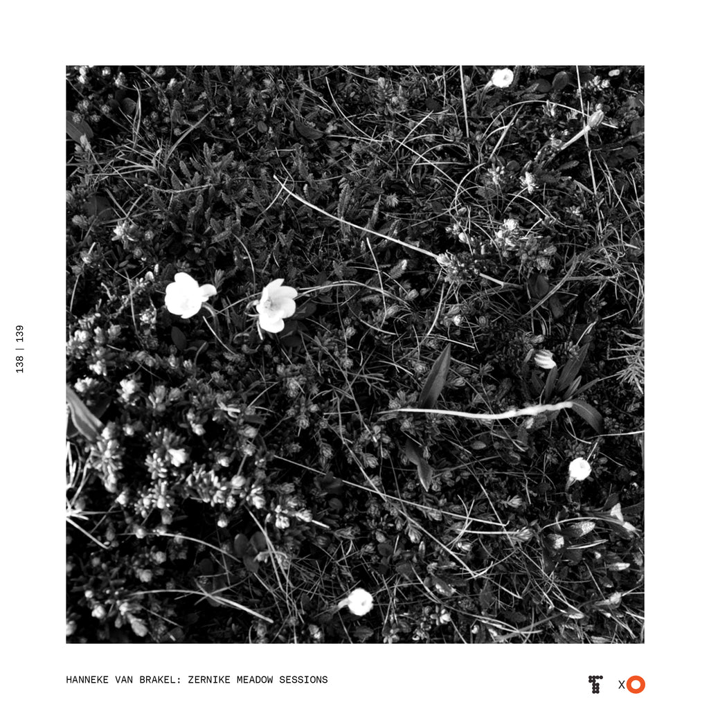 #IVP21 // Digital Orange